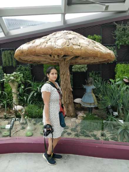 Mushroom Sculpture in Flower dome